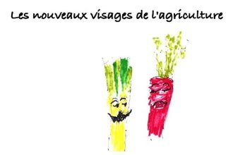 Les clés du social : Les nouveaux visages de l'agriculture