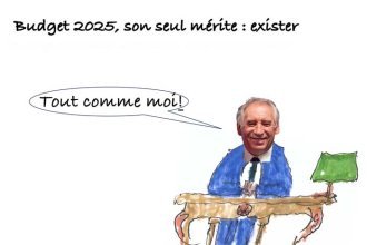 Les clés du social : Budget 2025, son seul mérite : exister ! Principales mesures